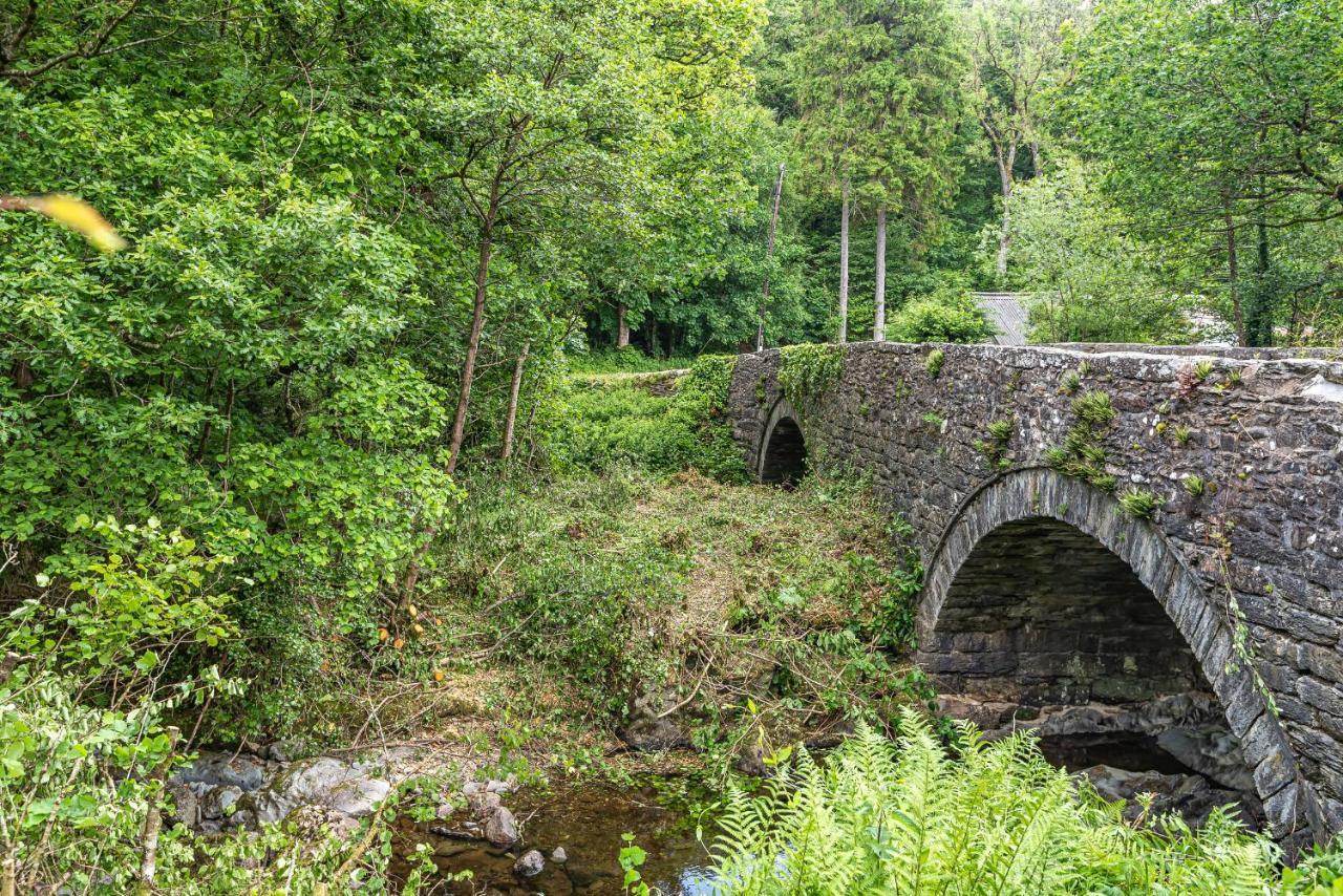 فيلا Waedog Bach Llanfor المظهر الخارجي الصورة